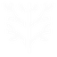 Lengrowth